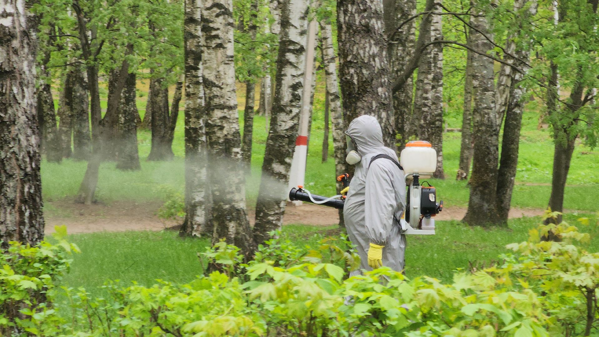 павловский  посад, парк победы, обработка ,