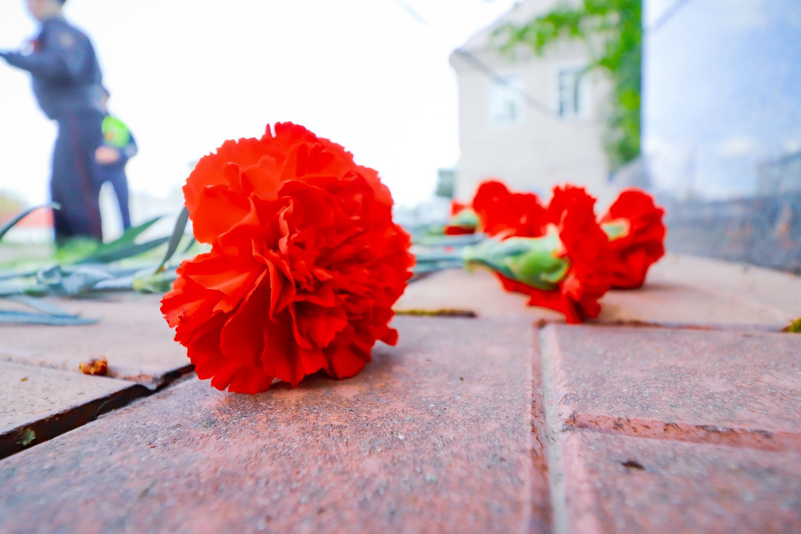 клин, общество, транспорт, георгиевская ленточка ,