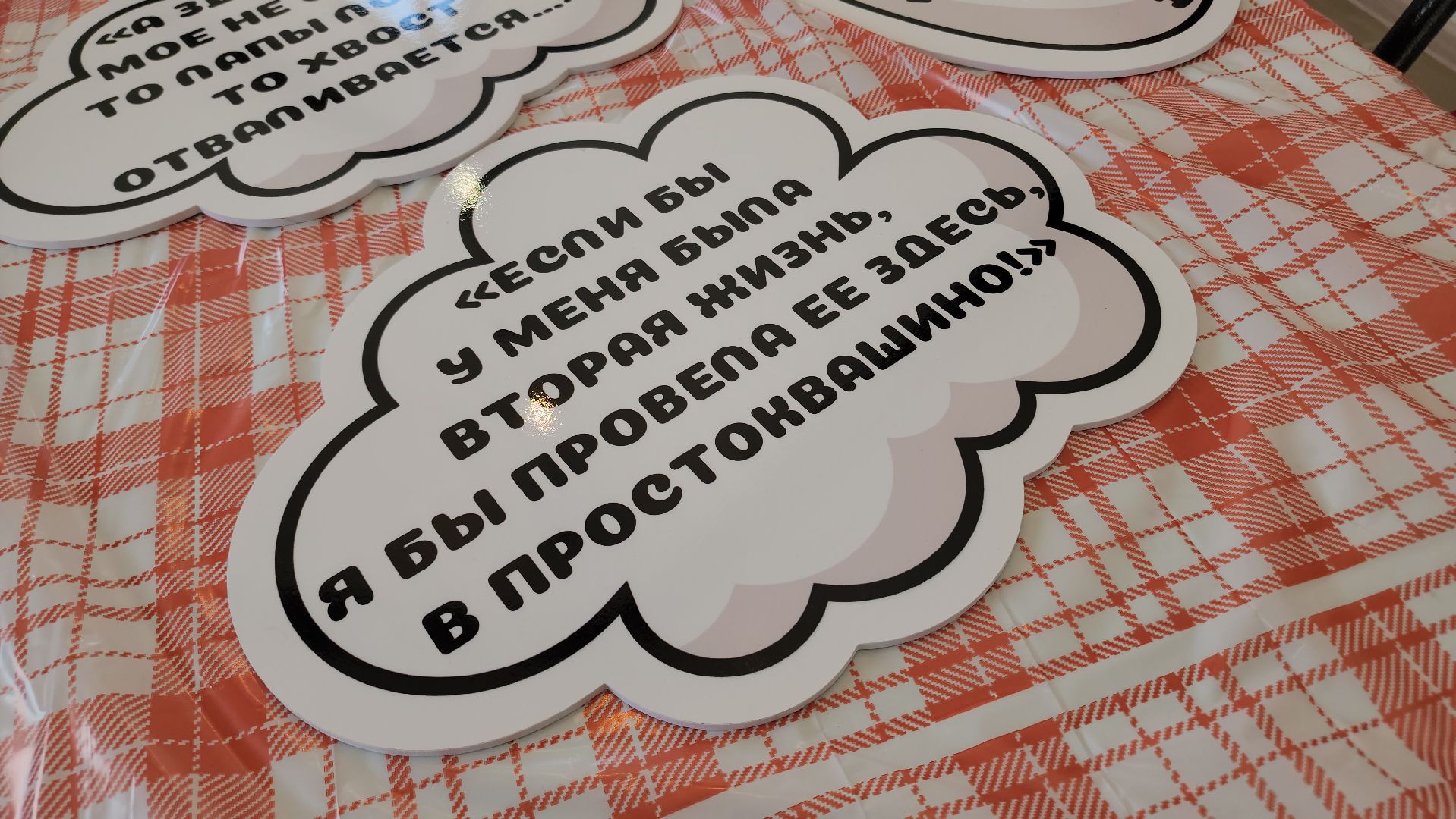 Егорьевск , Подмосковье , Московская область ,