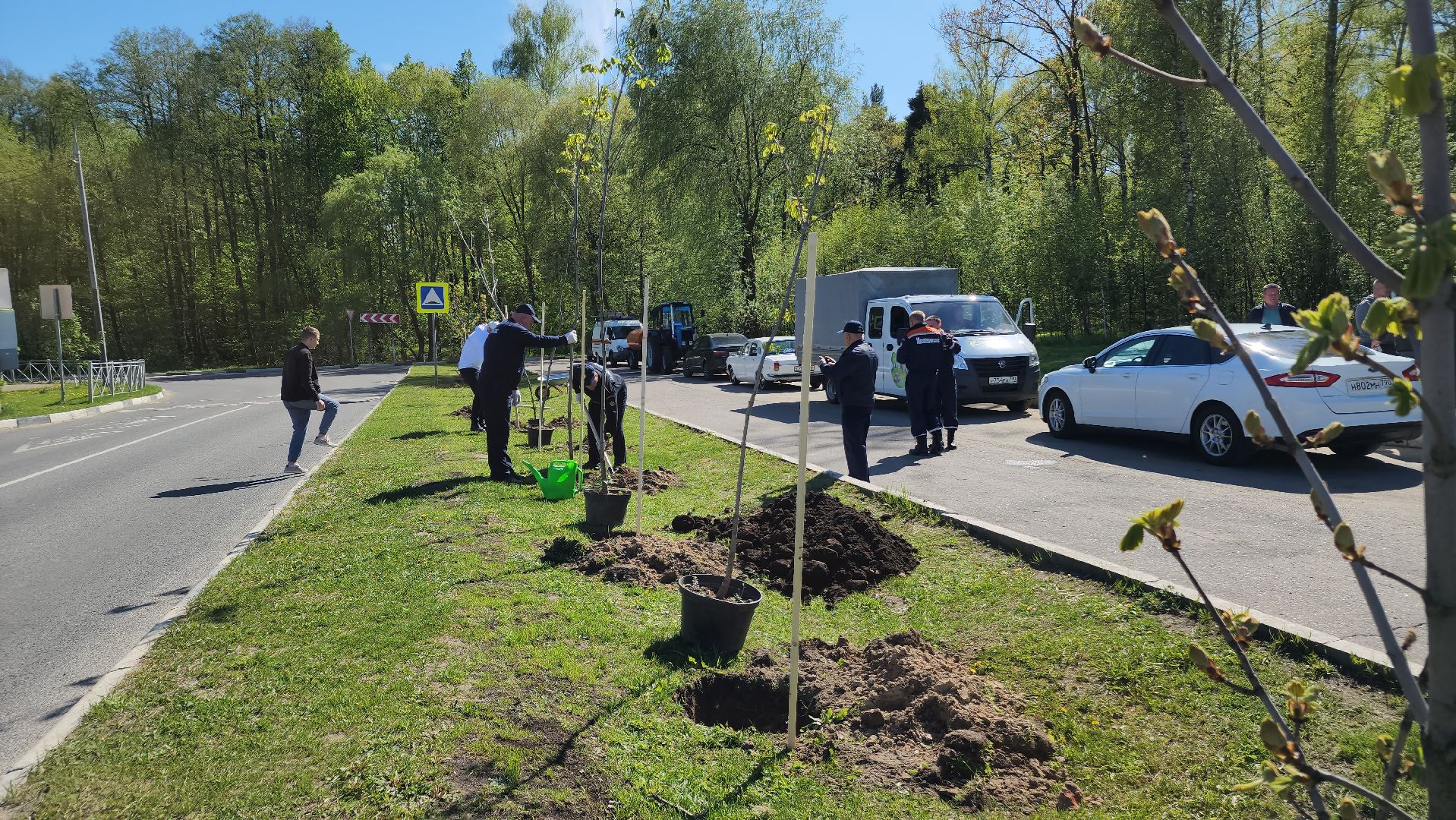 ступино, сад памяти, день победы,