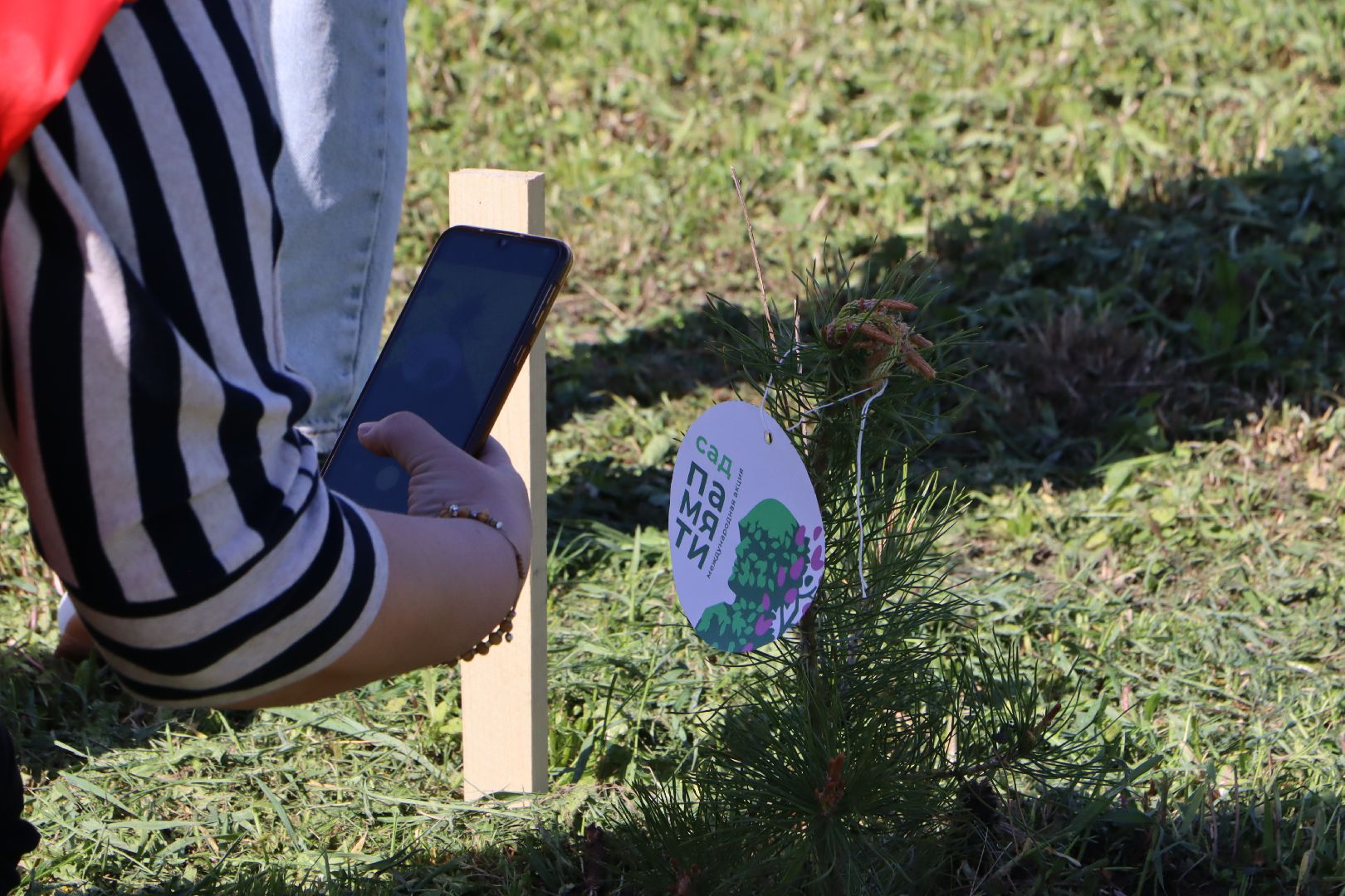 серебряные пруды, сад памяти, 80 лет победе,