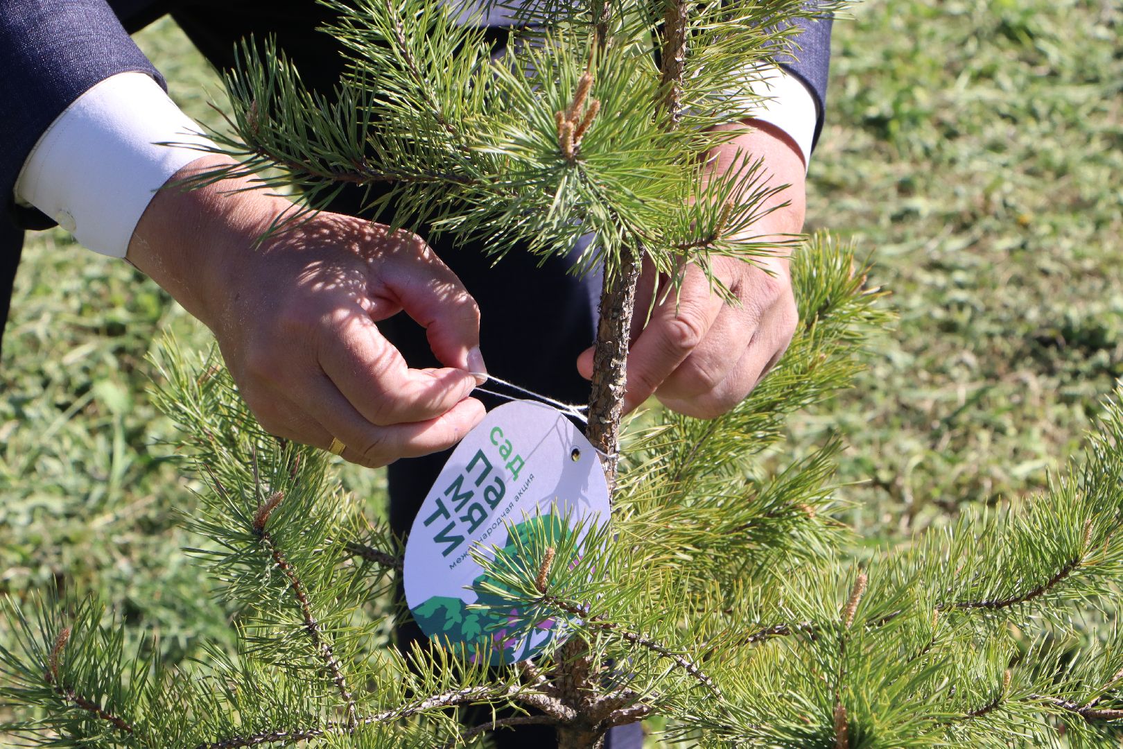 серебряные пруды, сад памяти, 80 лет победе,