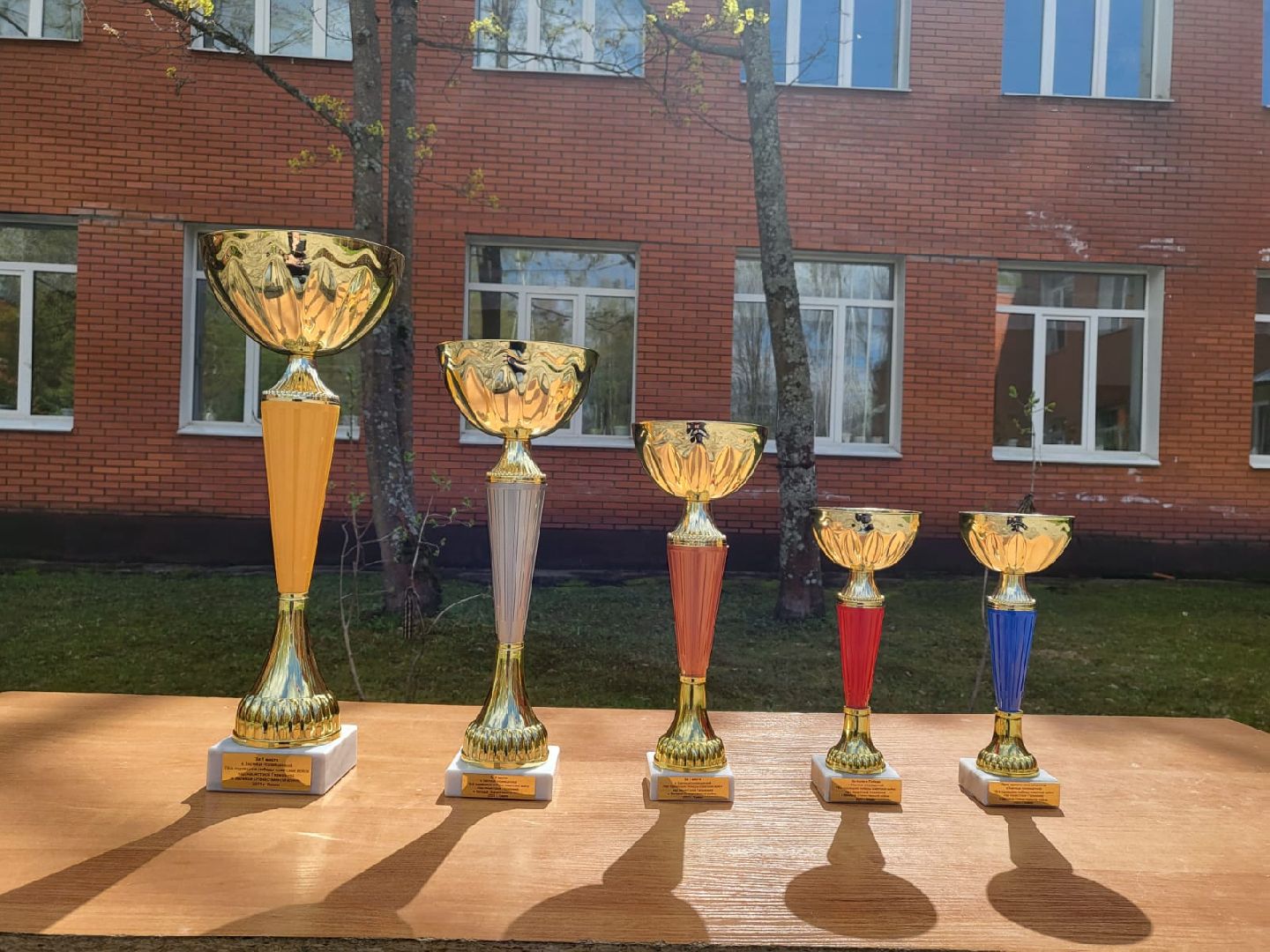 Химки, зарница, гимназия №23, «СОВА», Ассоциация развития военно-патриотических клубов, патриотизм