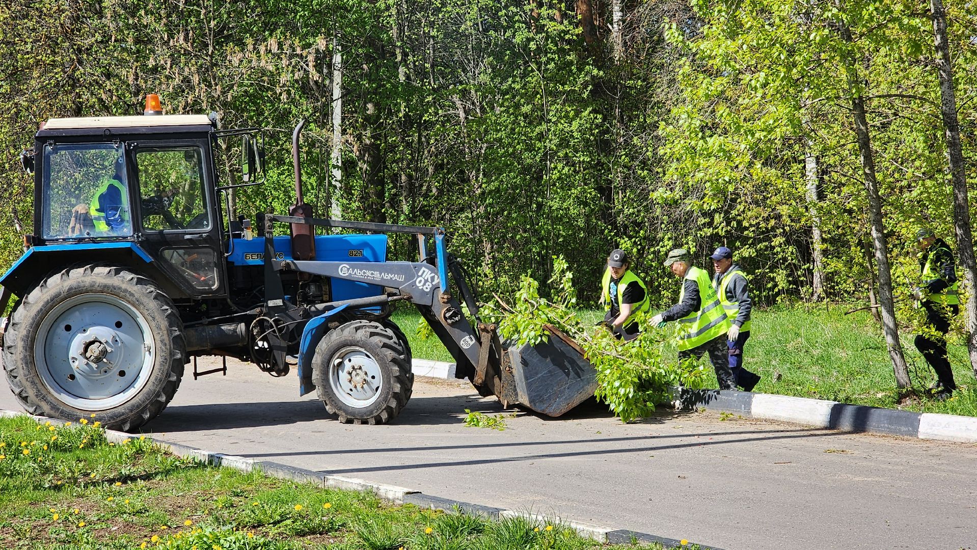 истра, благоустройство,  аварийные деревья,