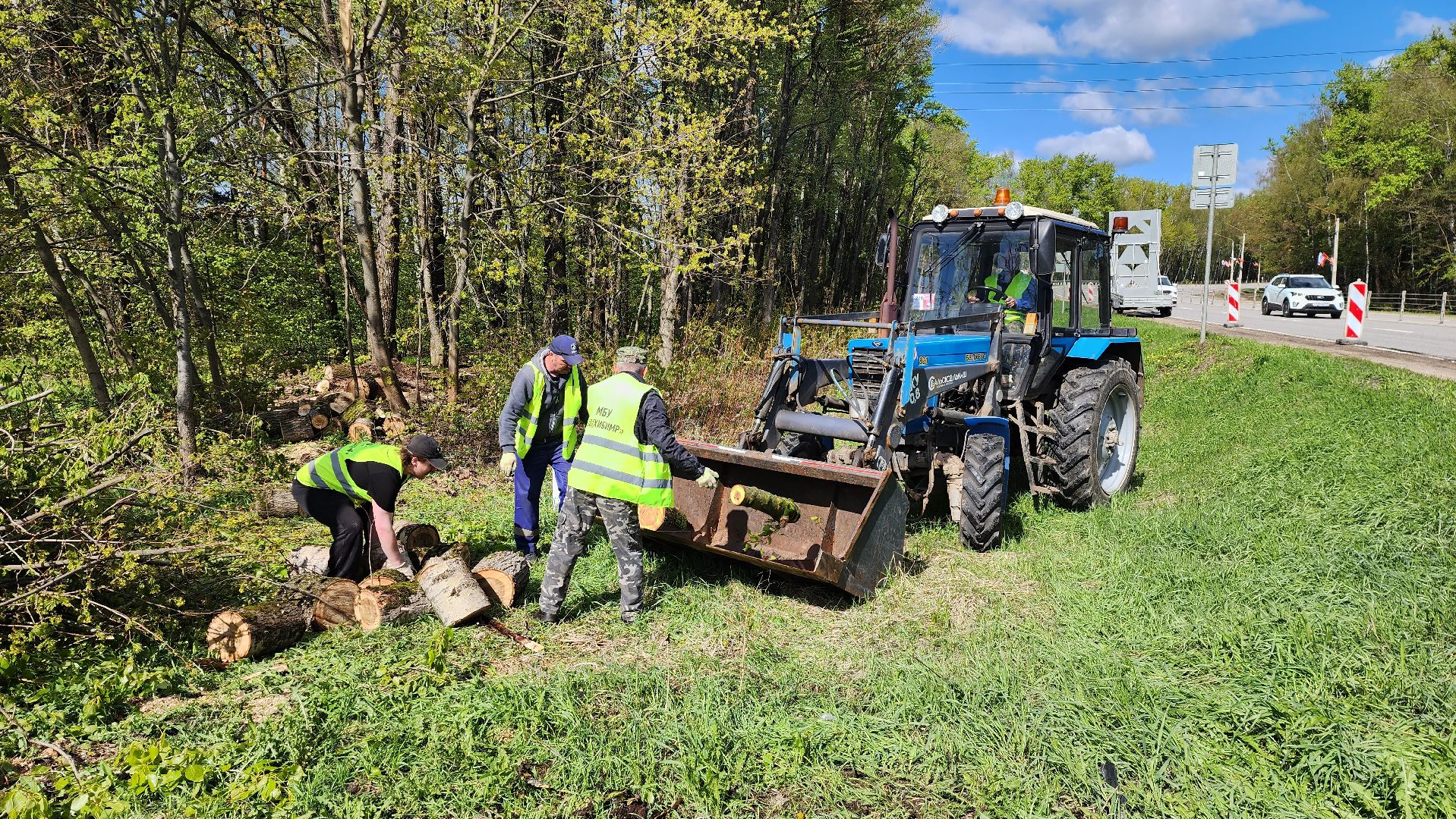 истра, благоустройство,  аварийные деревья,