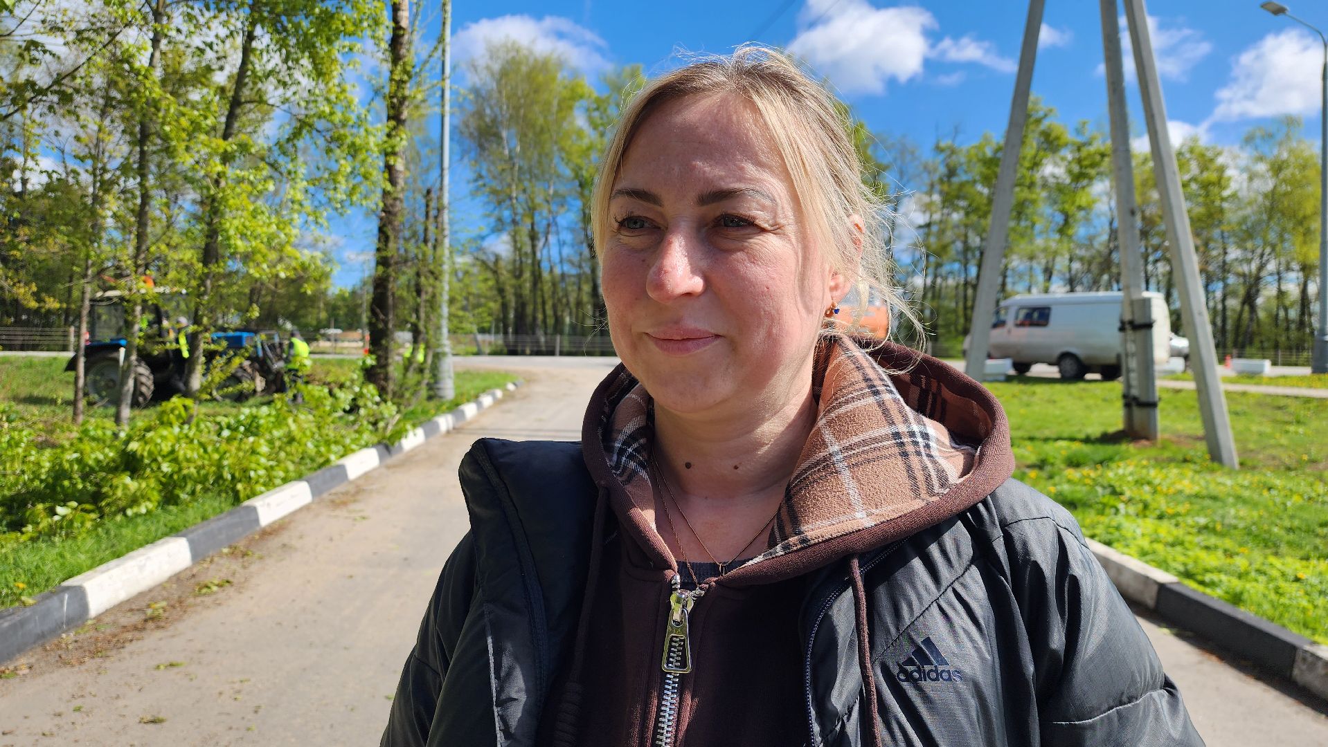 истра, благоустройство,  аварийные деревья,