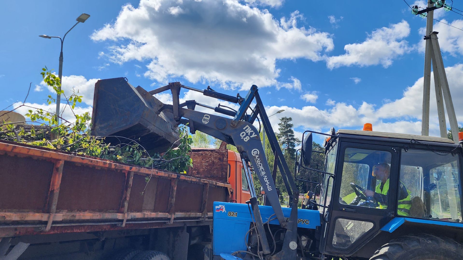 истра, благоустройство,  аварийные деревья,