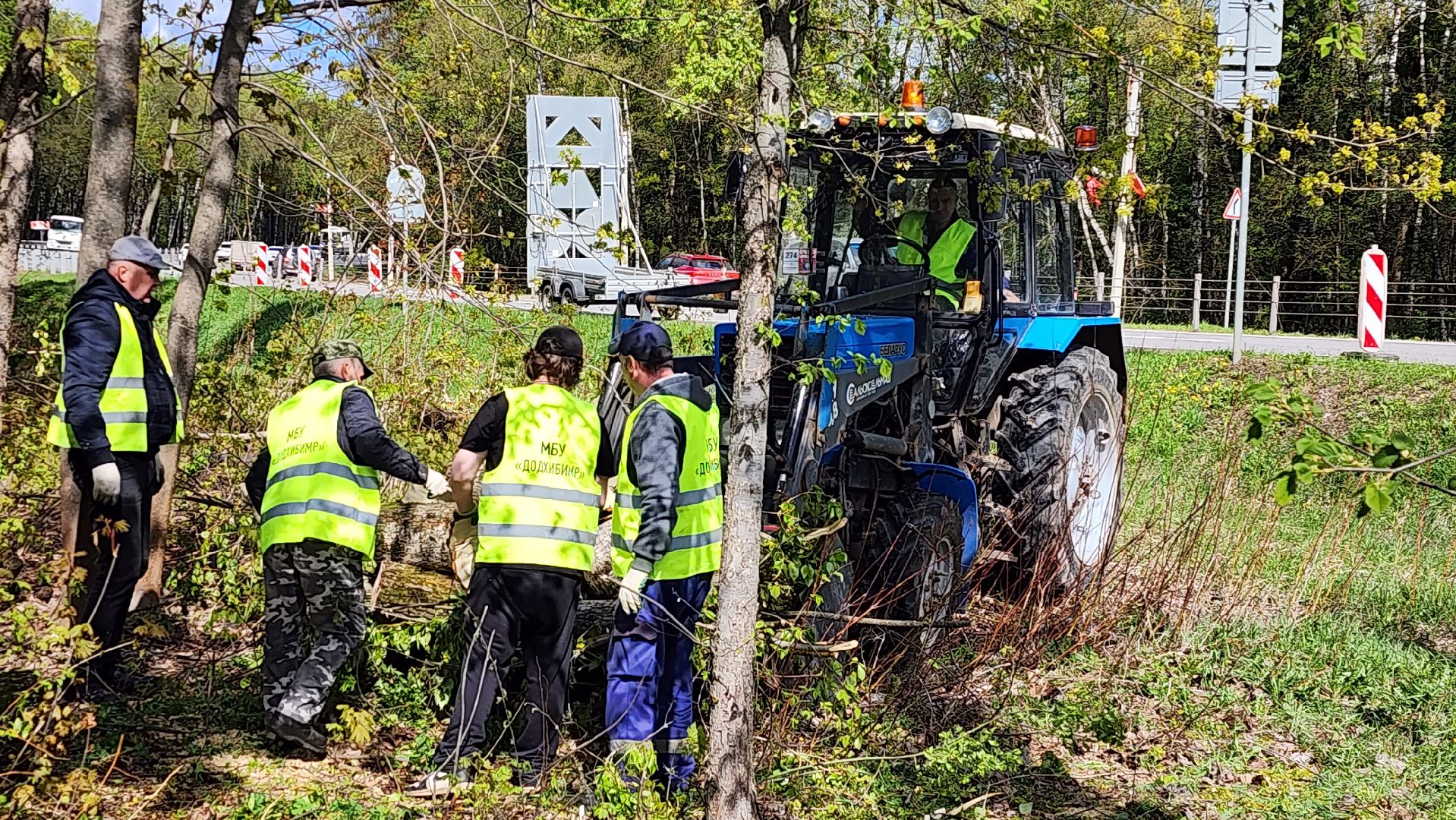 истра, благоустройство,  аварийные деревья,