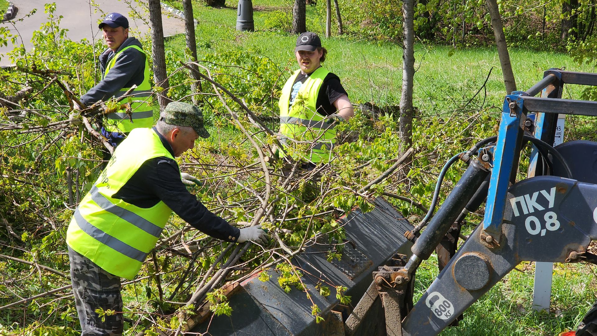 истра, благоустройство,  аварийные деревья,