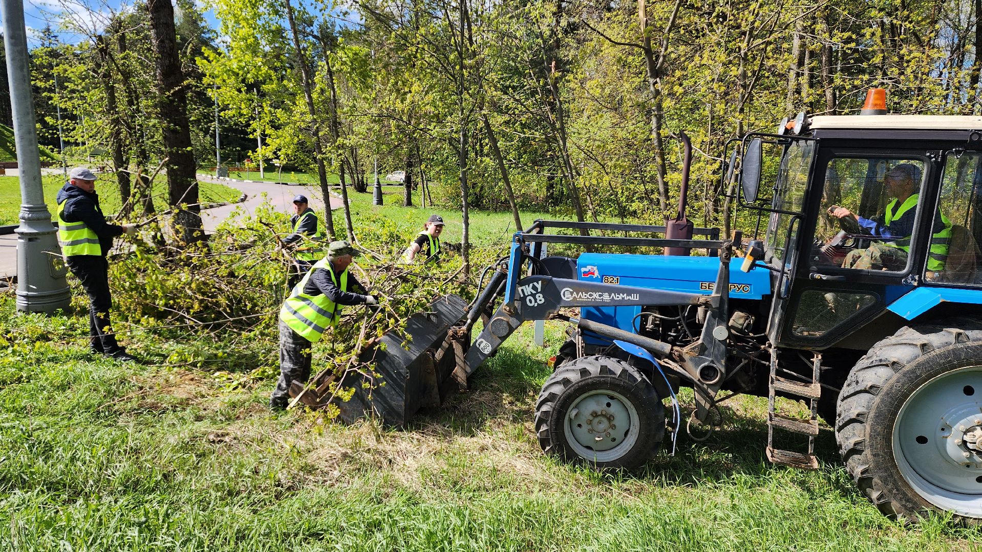 истра, благоустройство,  аварийные деревья,