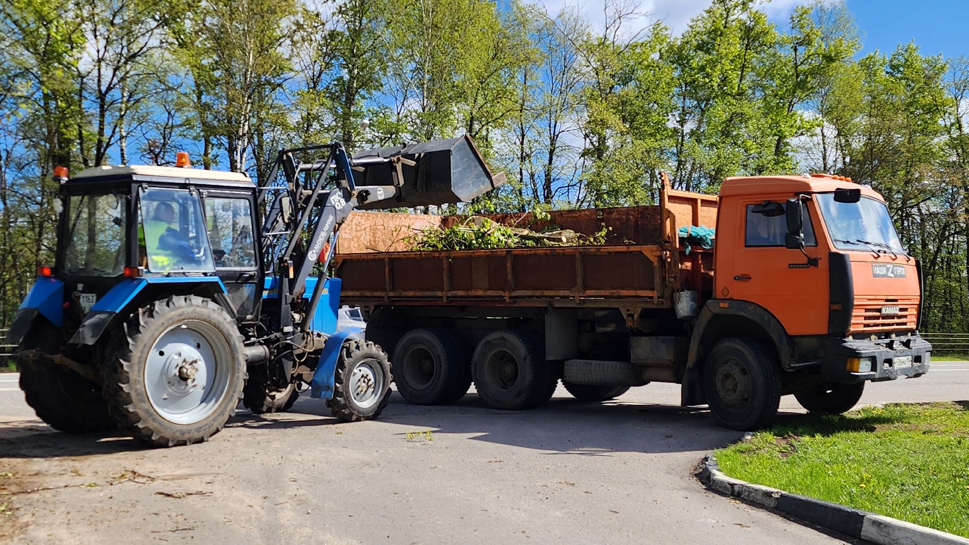 истра, благоустройство,  аварийные деревья,