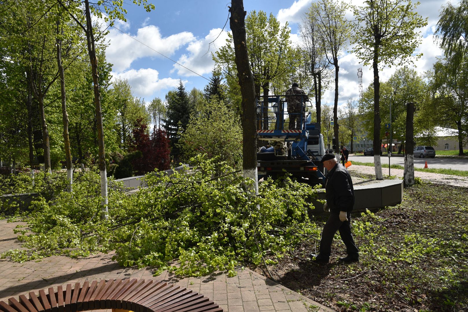 лотошино, благоустройство, кронирование, день победы,