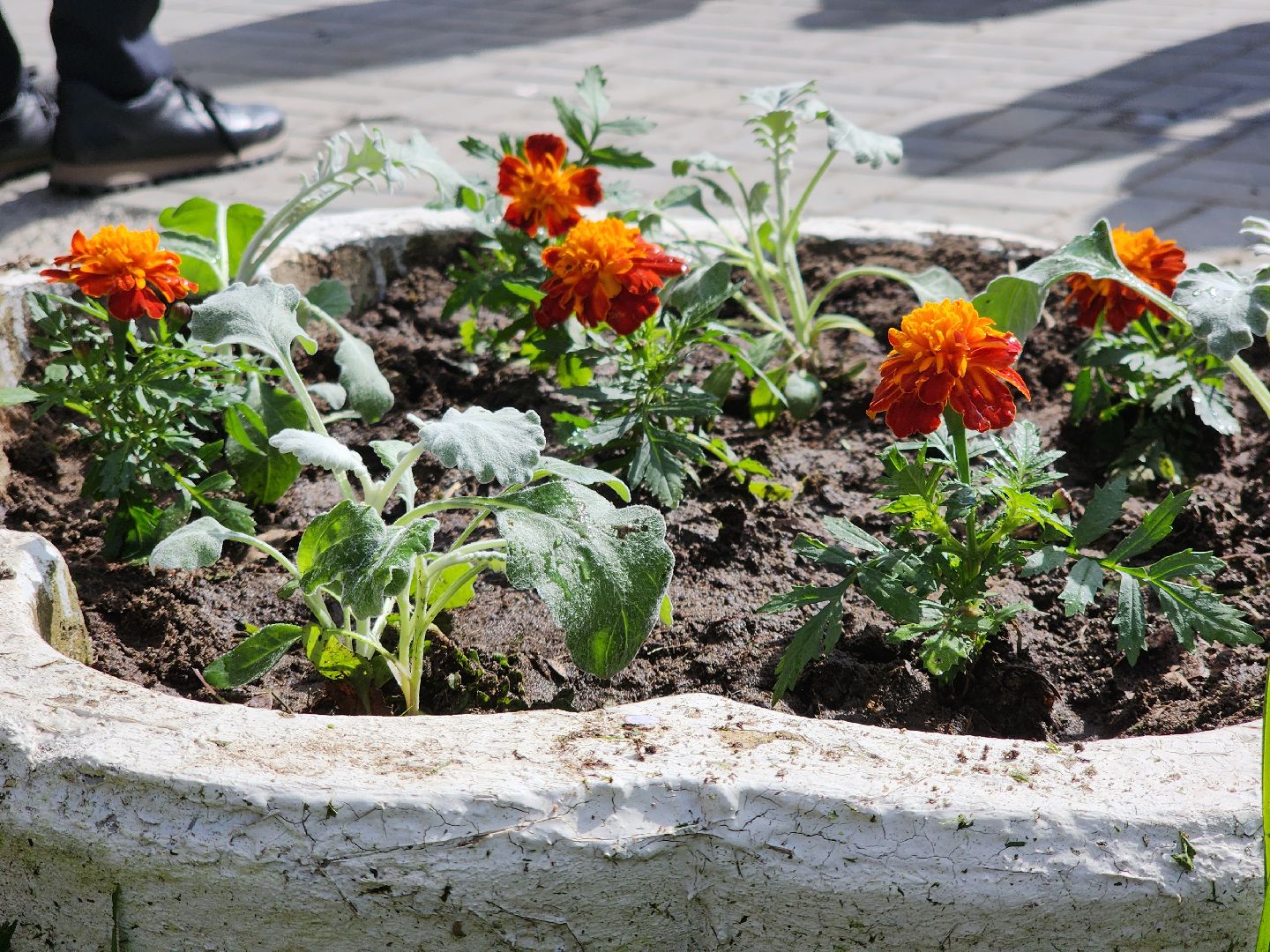 Черноголовка, 9 мая, Обелиск воинской славы,