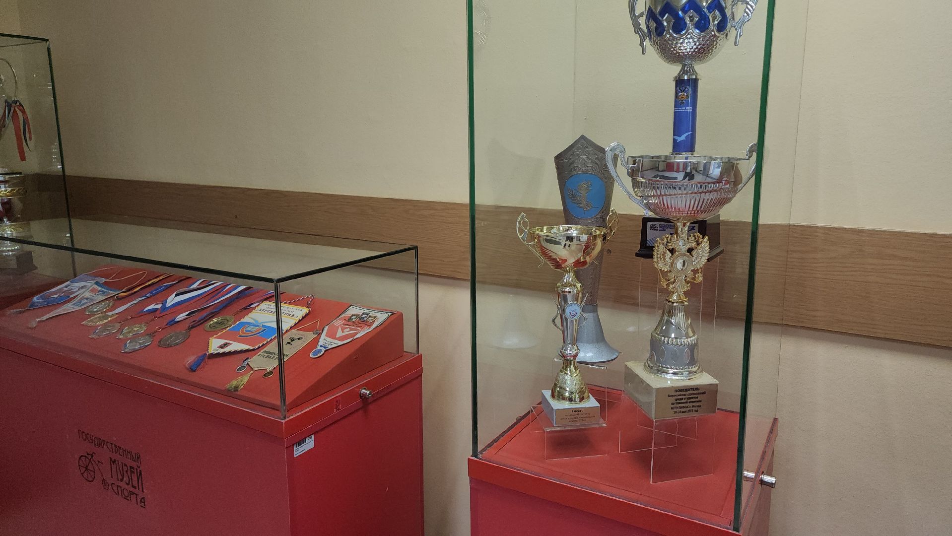 Люберцы, мгафк, выставка,