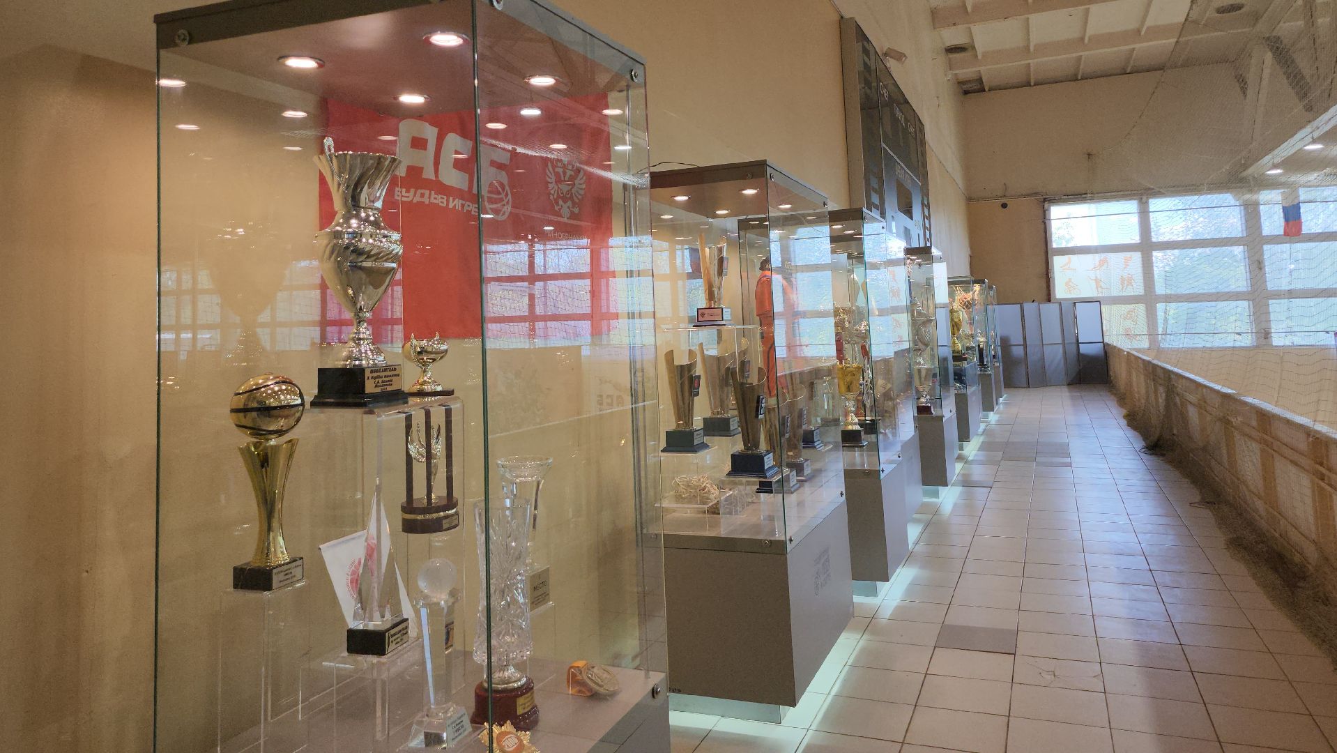 Люберцы, мгафк, выставка,