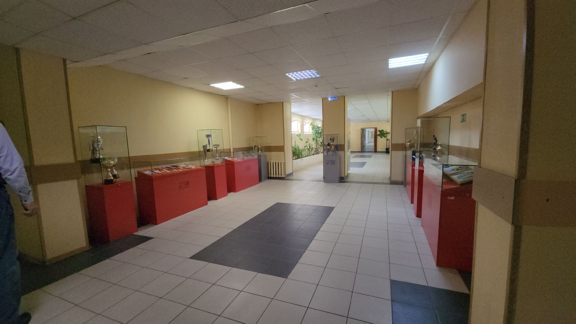 Люберцы, мгафк, выставка,