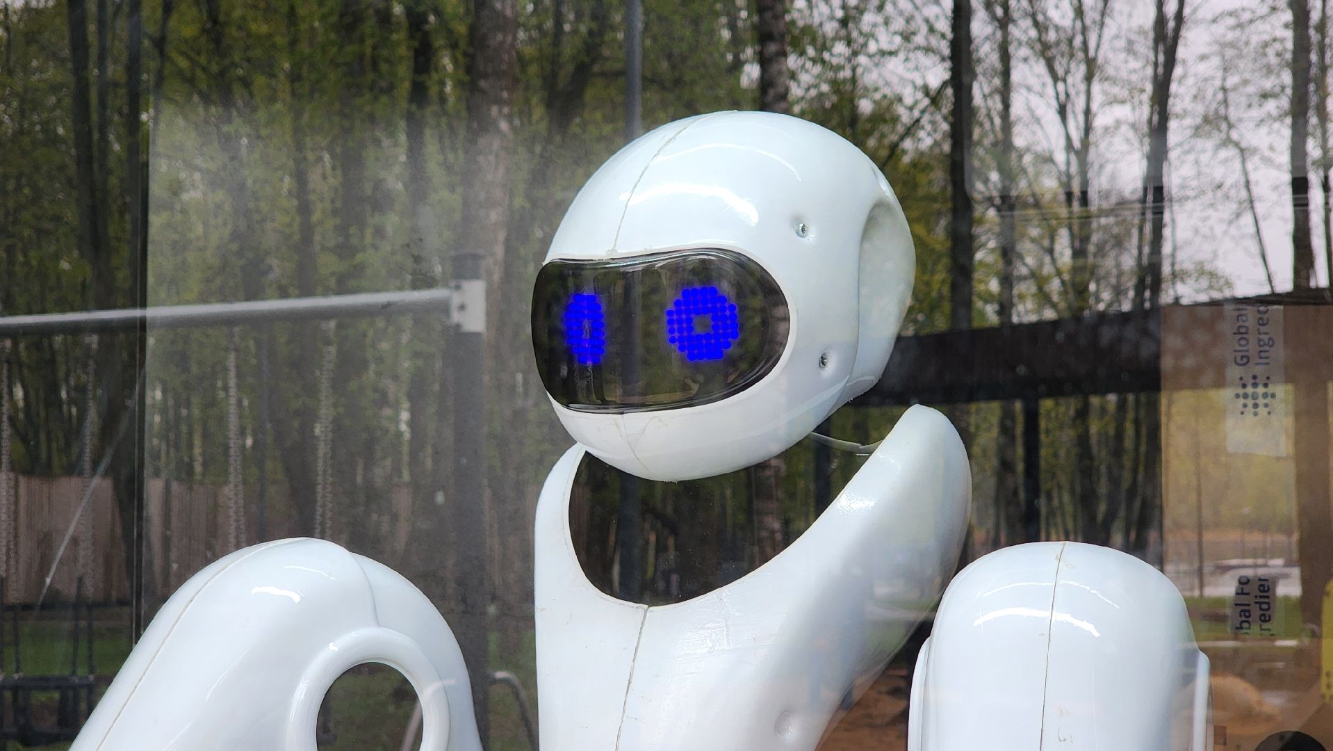 солнечногорск, городской парк, робокафе, кофе,