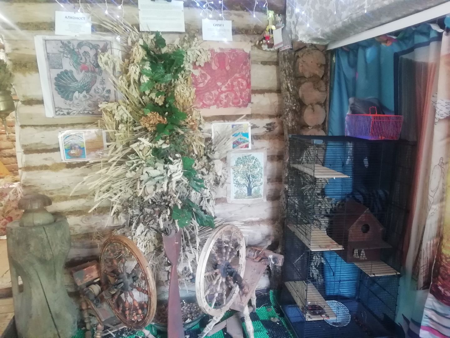 Звенигород, туризм, Каринское, музей-усадьба