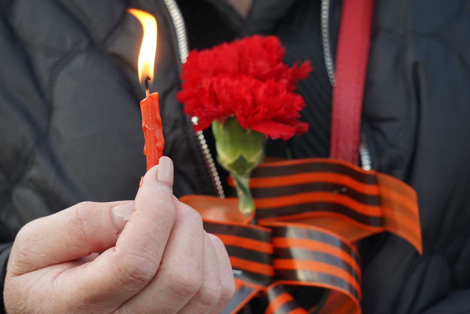 павловский посад, парк, акция,