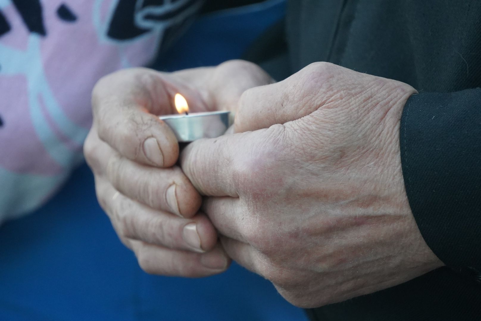 павловский посад, парк, акция,