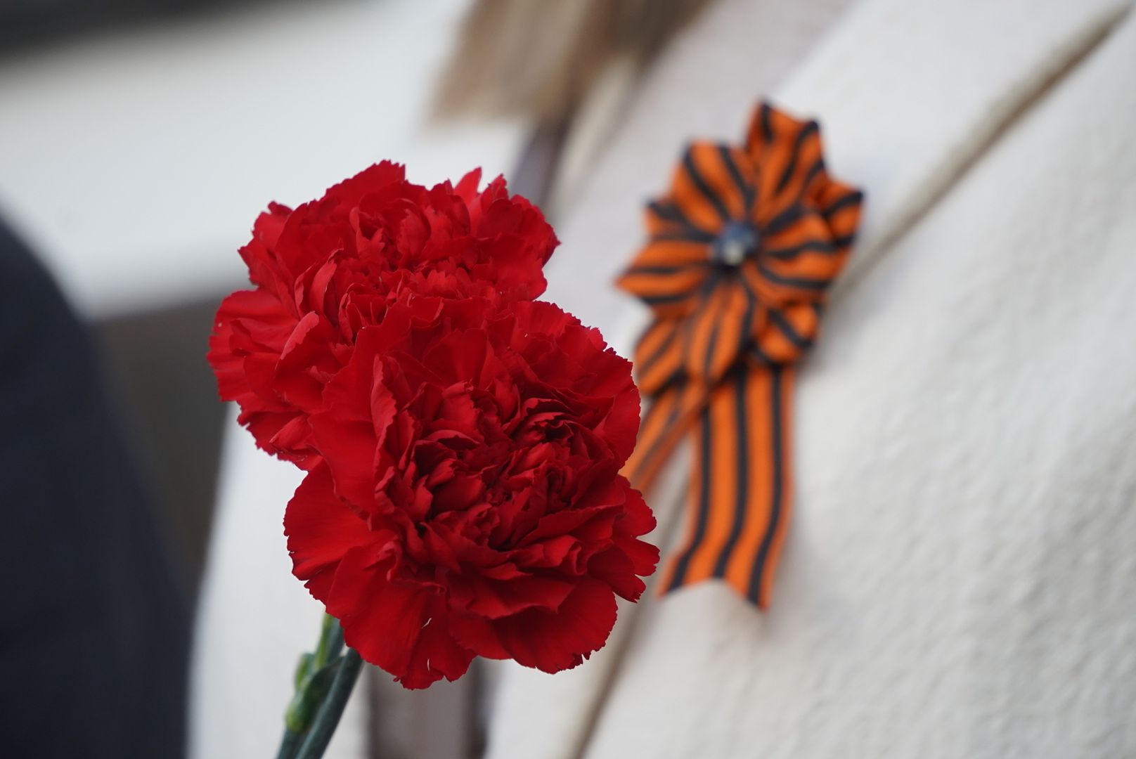 павловский посад, парк, акция,