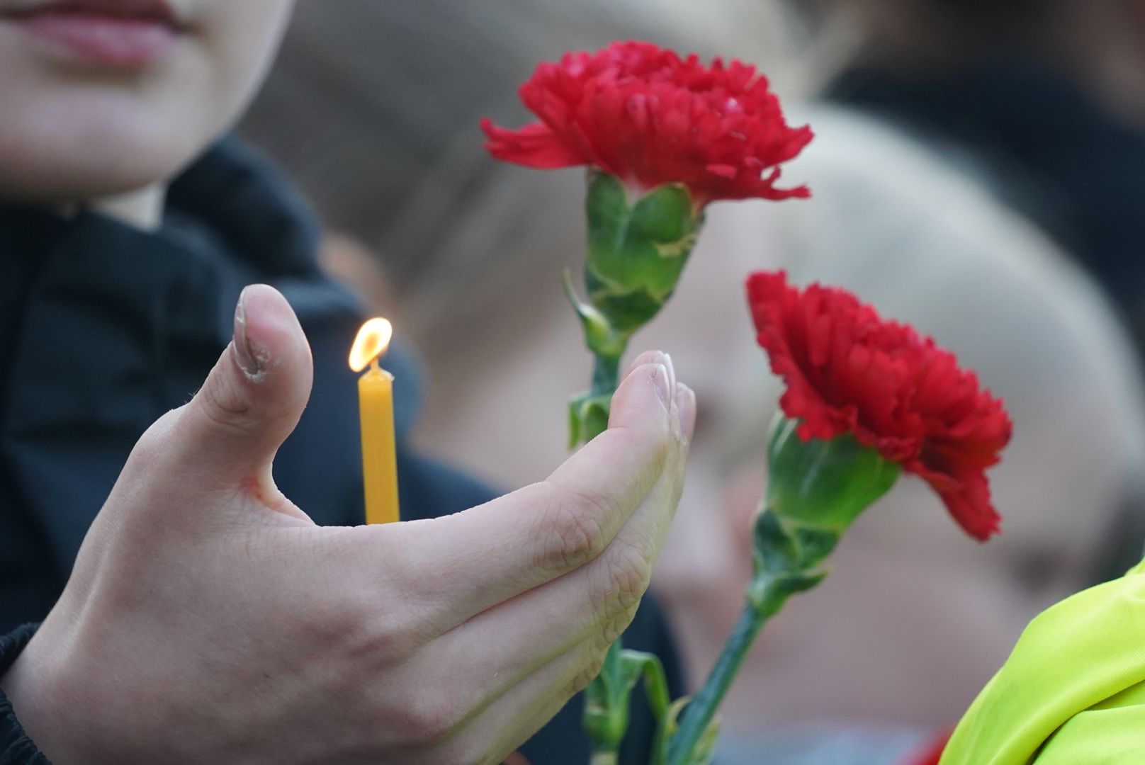 павловский посад, парк, акция,