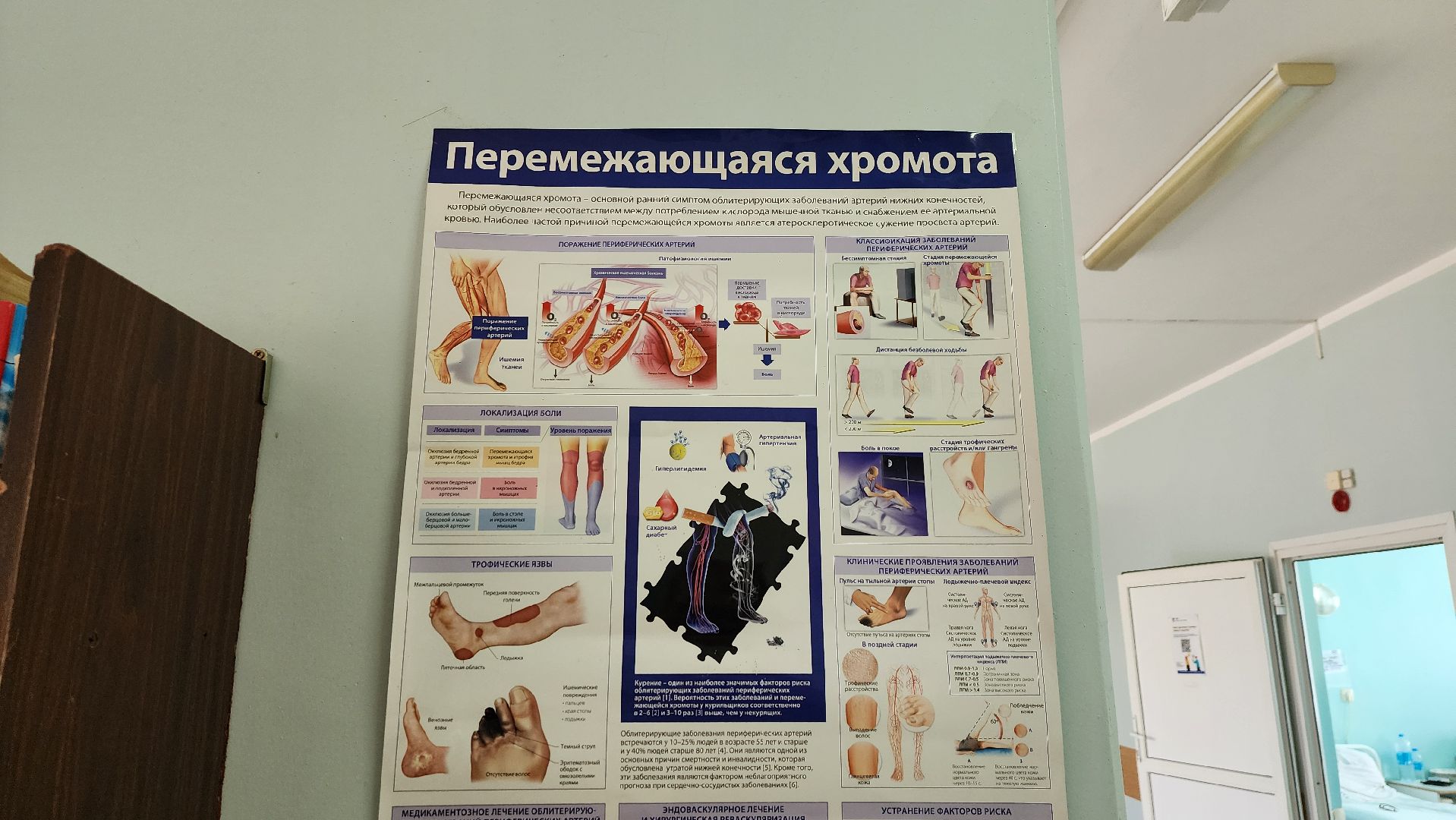 солнечногорск, медицина, хирургия, новый врач,