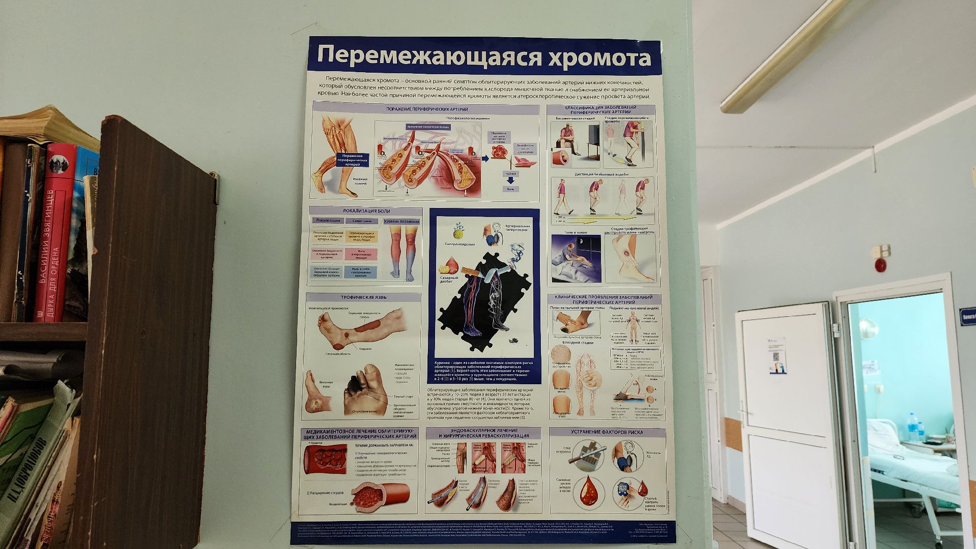 солнечногорск, медицина, хирургия, новый врач,