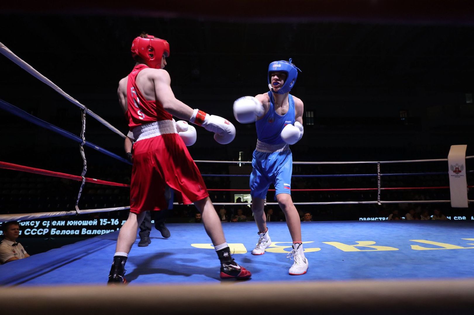 Чехов, спорт, первенство России, бокс, медаль