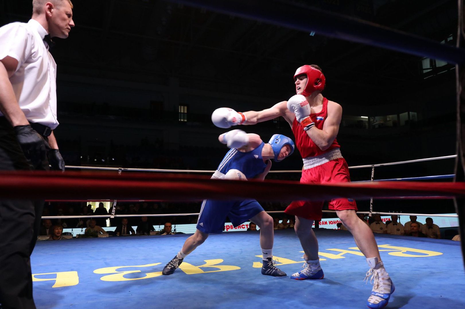 Чехов, спорт, первенство России, бокс, медаль