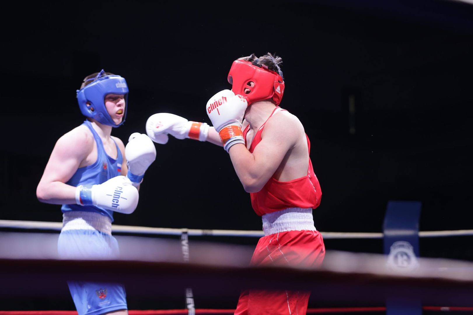 Чехов, спорт, первенство России, бокс, медаль