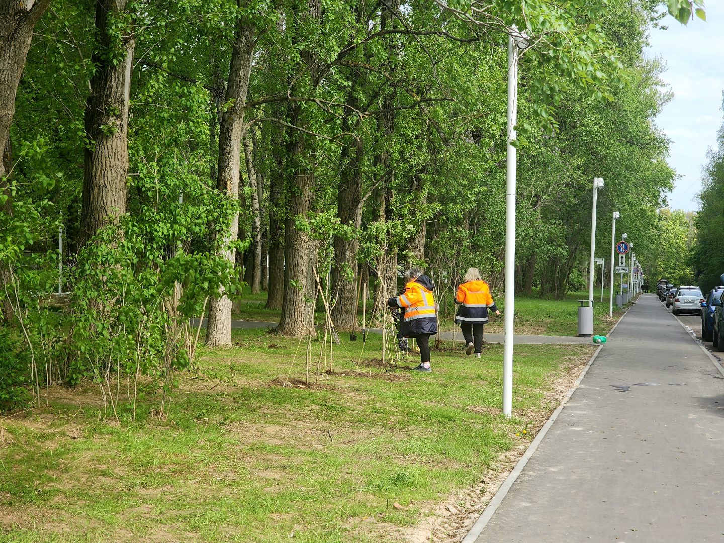 пущино, сад победы, серпухов, 80 - летие победы,