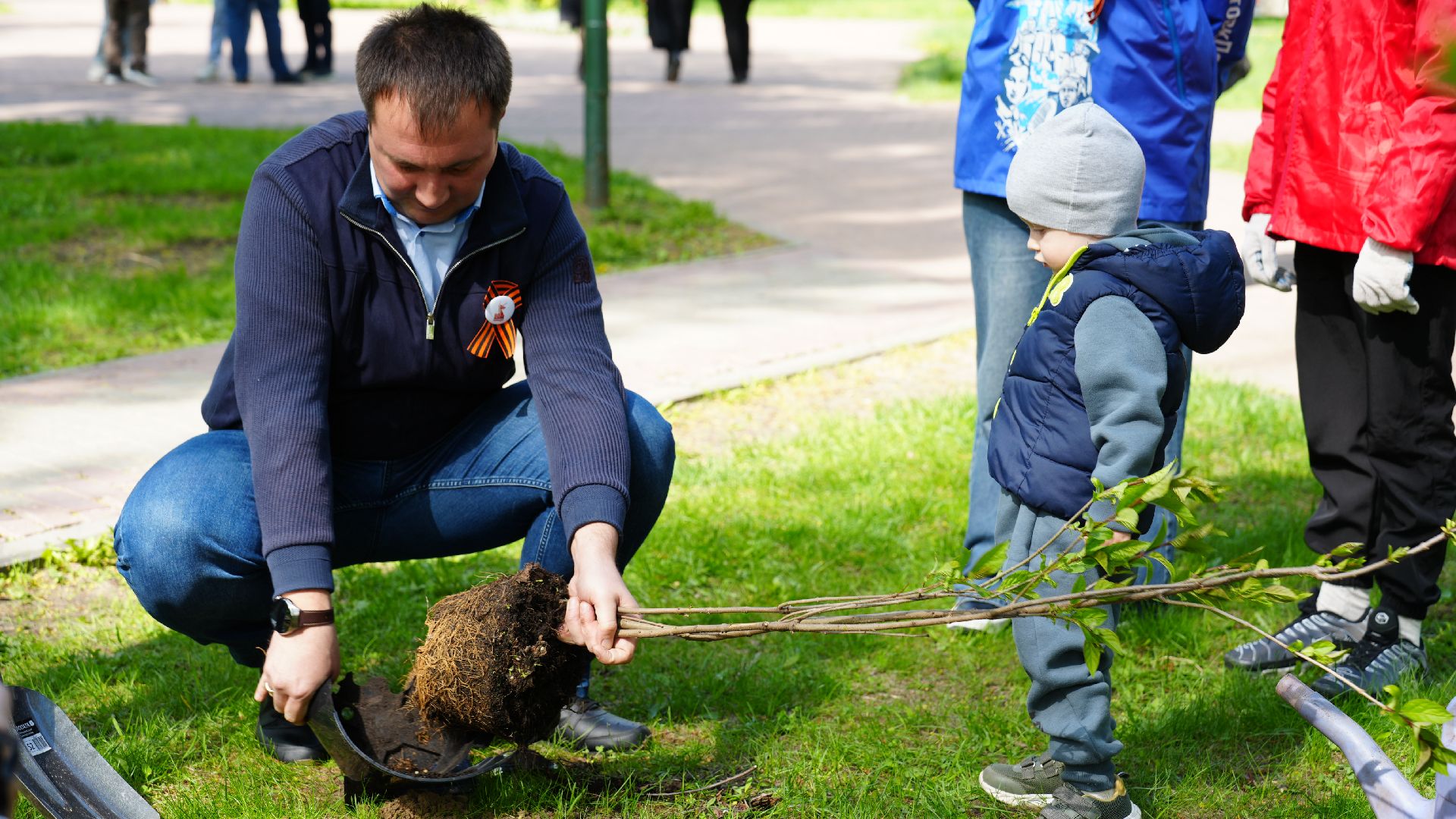 сирень, сад памяти,