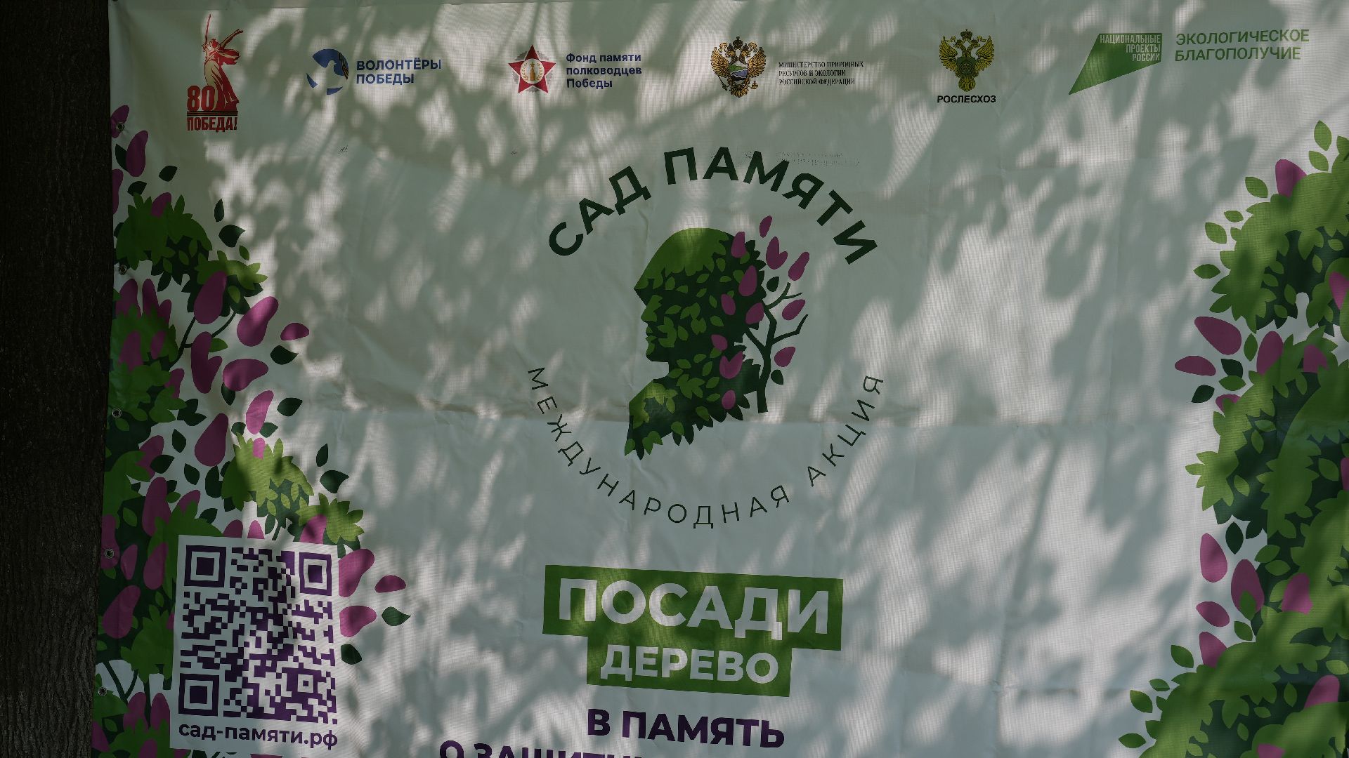 сирень, сад памяти,