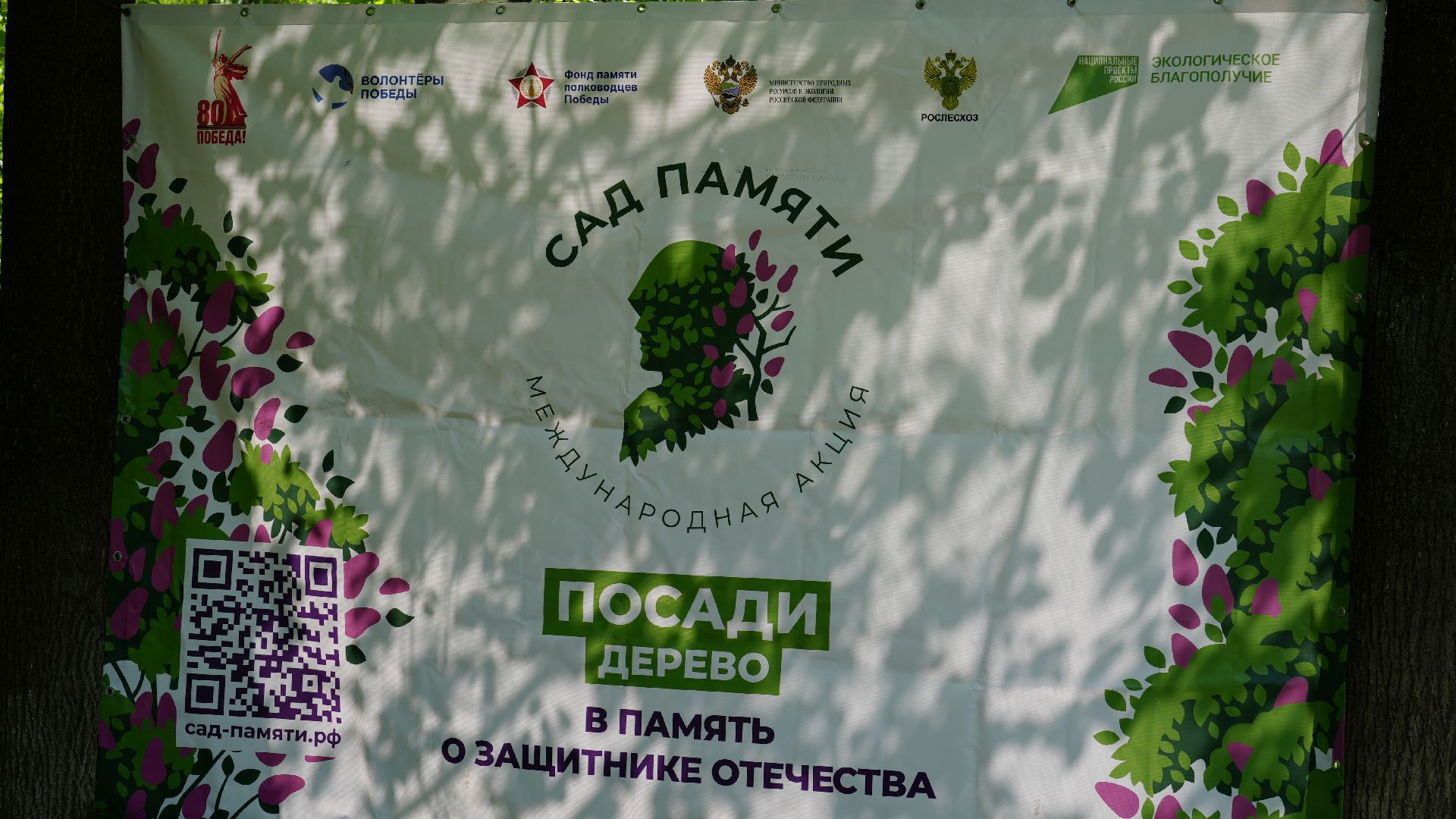 сирень, сад памяти,