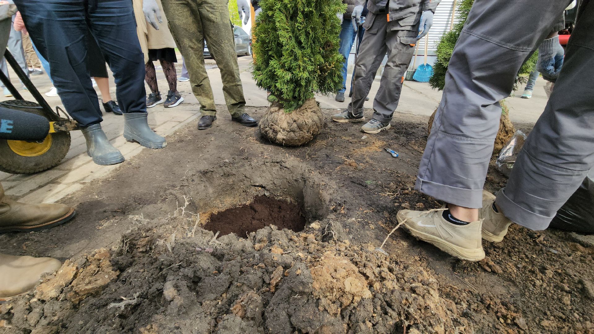 сад победы, Красногорск , Нахабино,