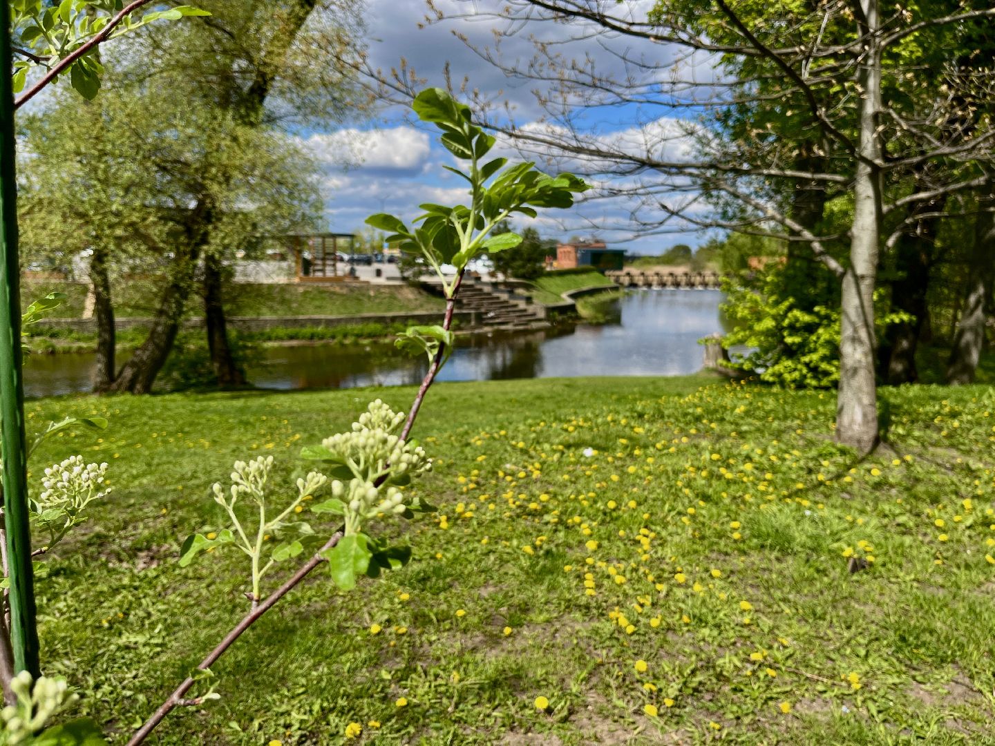 наро-фоминск, наро-фоминский городской округ, сад памяти , город воинской славы, 80 лет победе,