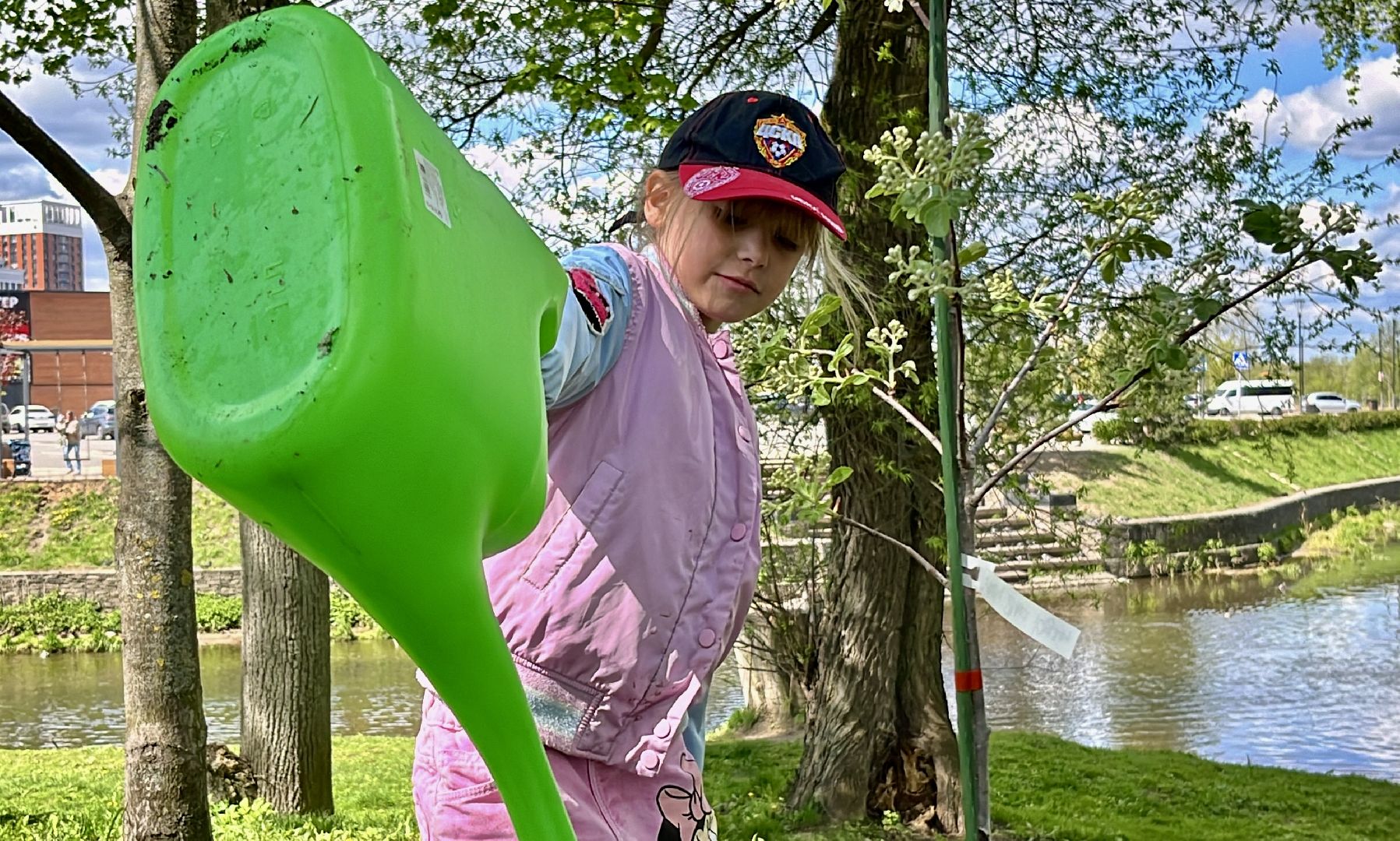 наро-фоминск, наро-фоминский городской округ, сад памяти , город воинской славы, 80 лет победе,