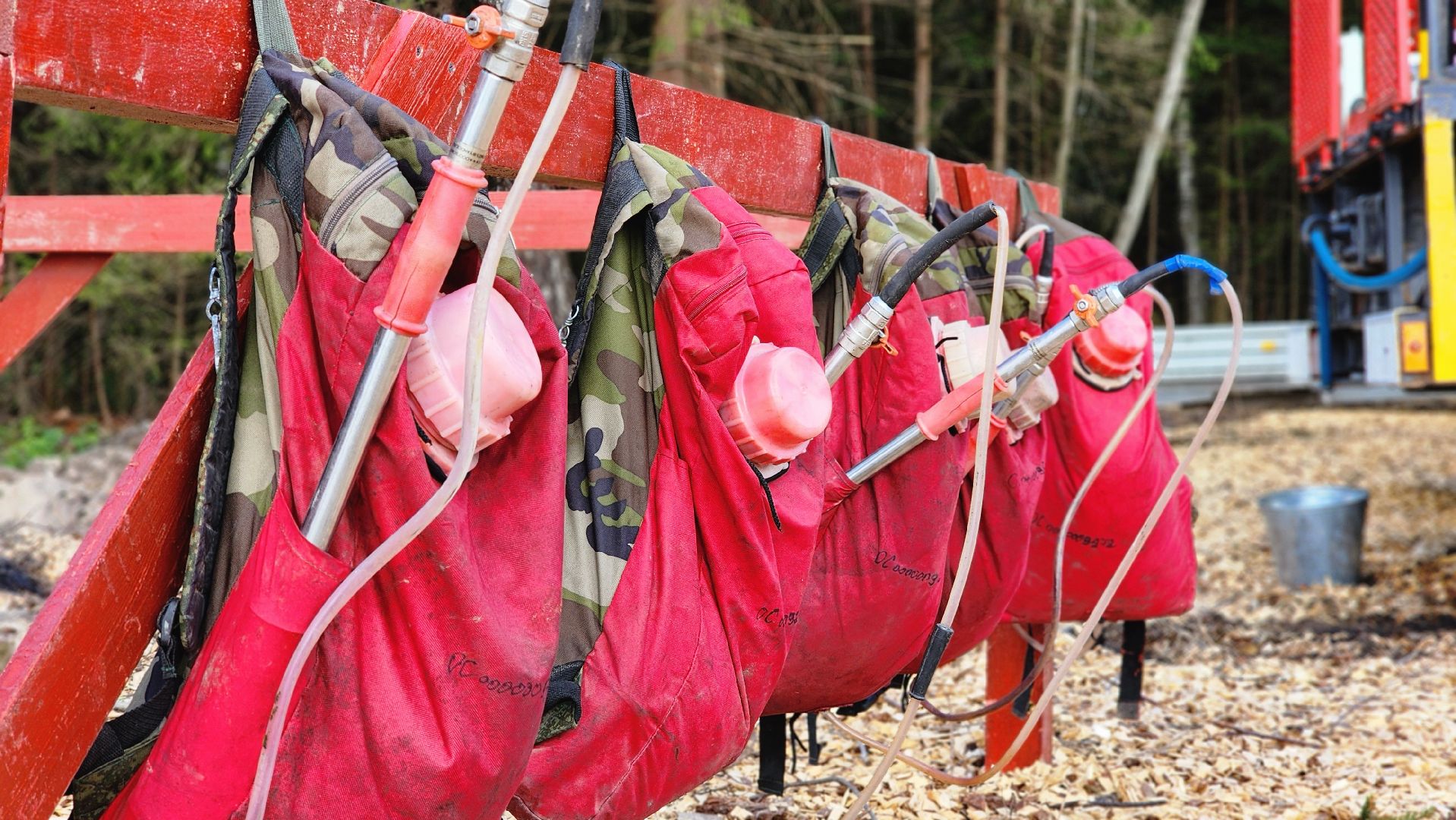 Руза, Лес памяти, Экология, Эколого-патриотическая акция,
