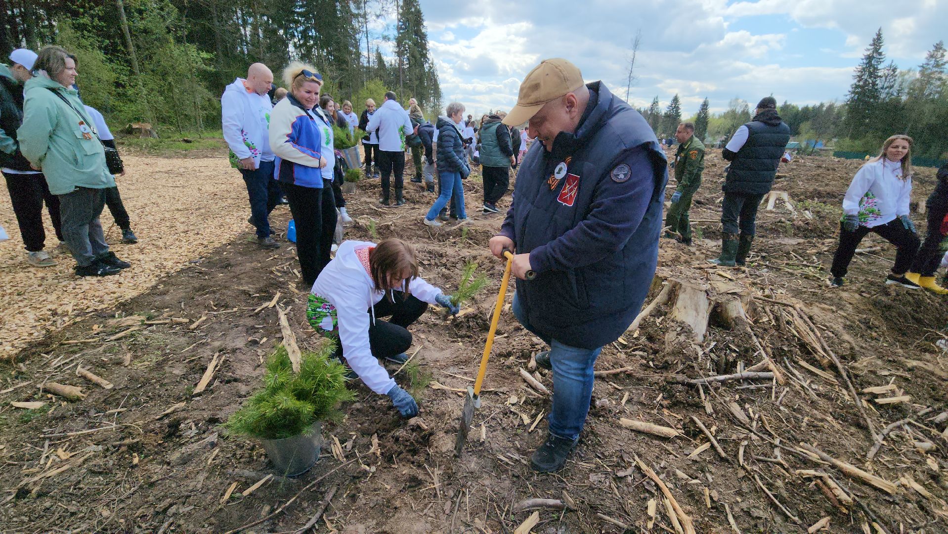 Руза, Лес памяти, Экология, Эколого-патриотическая акция,