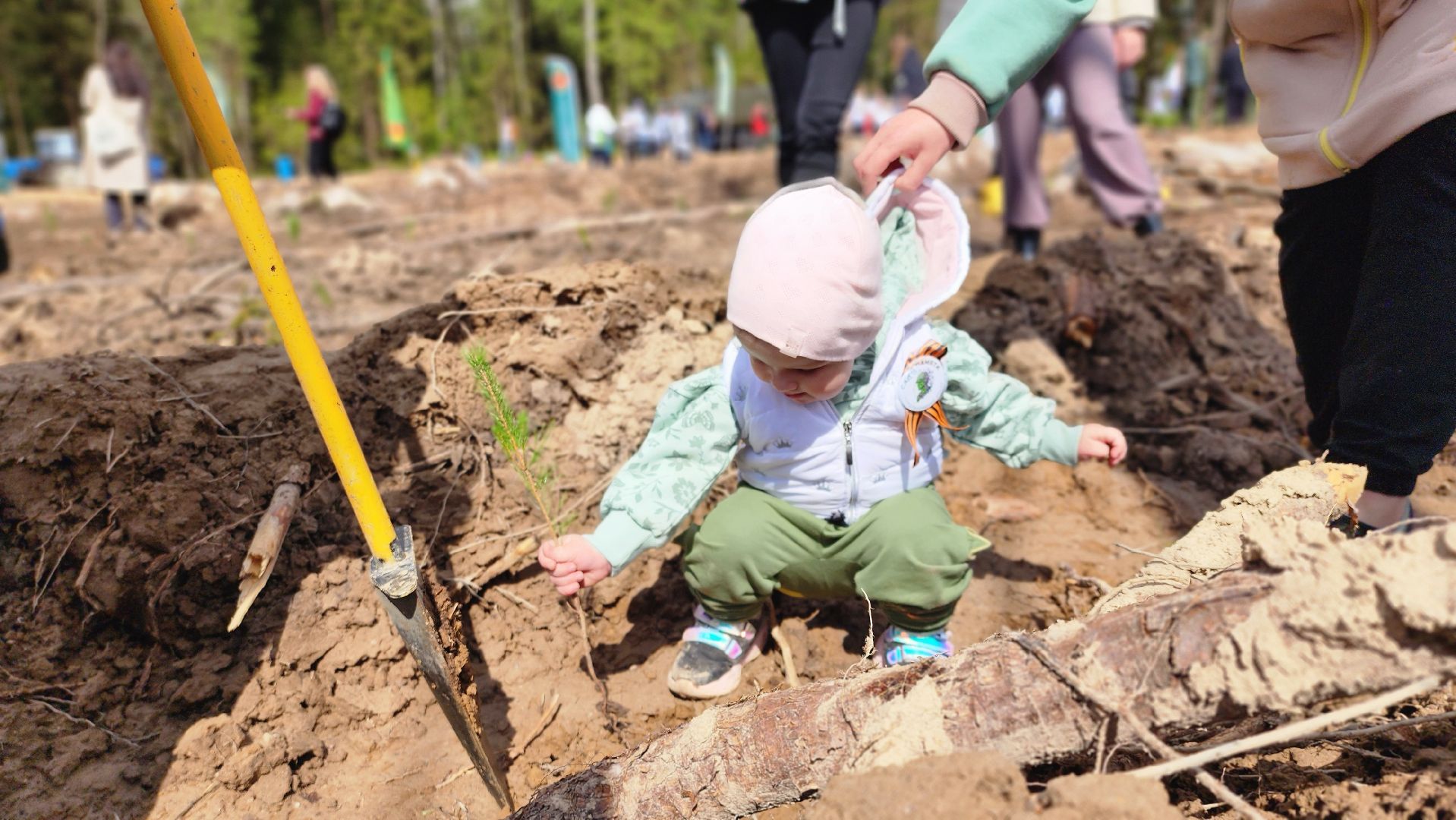 Руза, Лес памяти, Экология, Эколого-патриотическая акция,