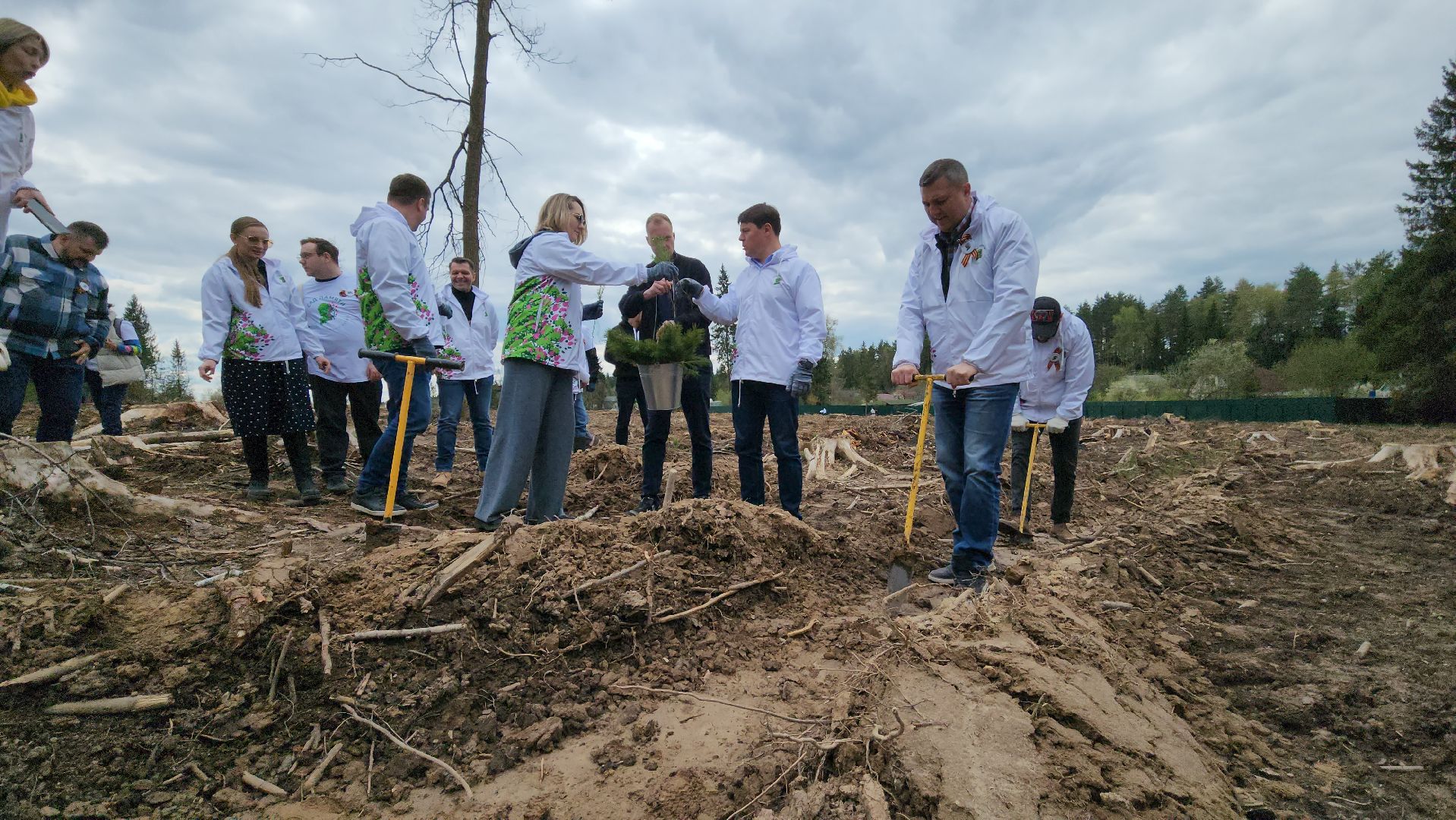 Руза, Лес памяти, Экология, Эколого-патриотическая акция,
