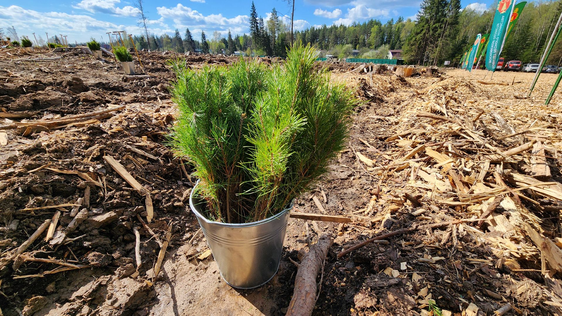 Руза, Лес памяти, Экология, Эколого-патриотическая акция,