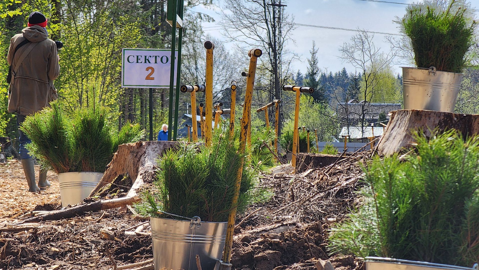 Руза, Лес памяти, Экология, Эколого-патриотическая акция,