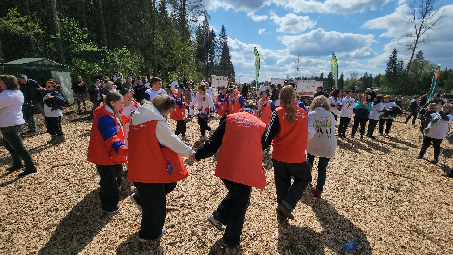 Руза, Лес памяти, Экология, Эколого-патриотическая акция,