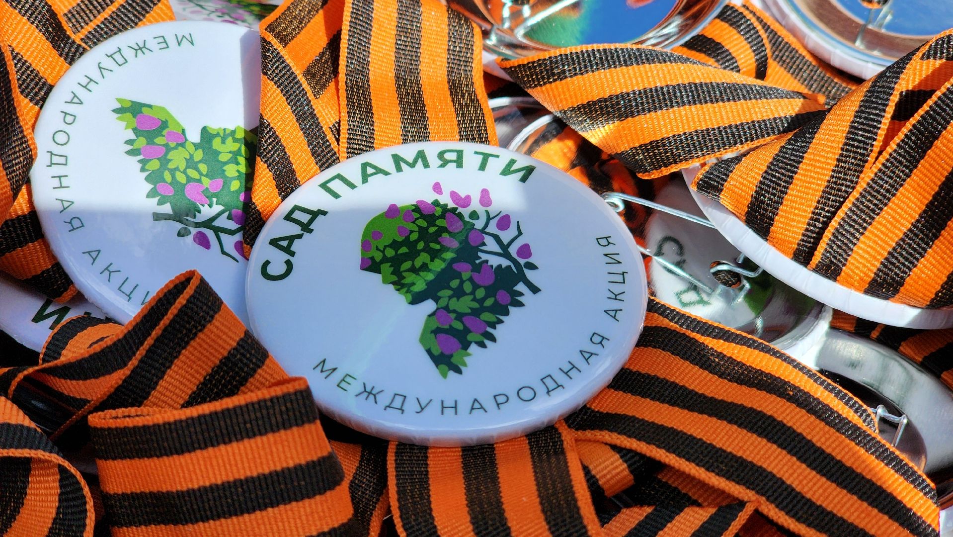 Руза, Лес памяти, Экология, Эколого-патриотическая акция,