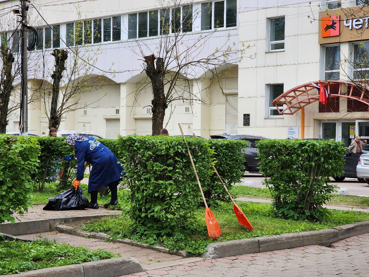 ногинск, благоустройство, площадь победы, жители, общество, коммунальщики, 9 мая,