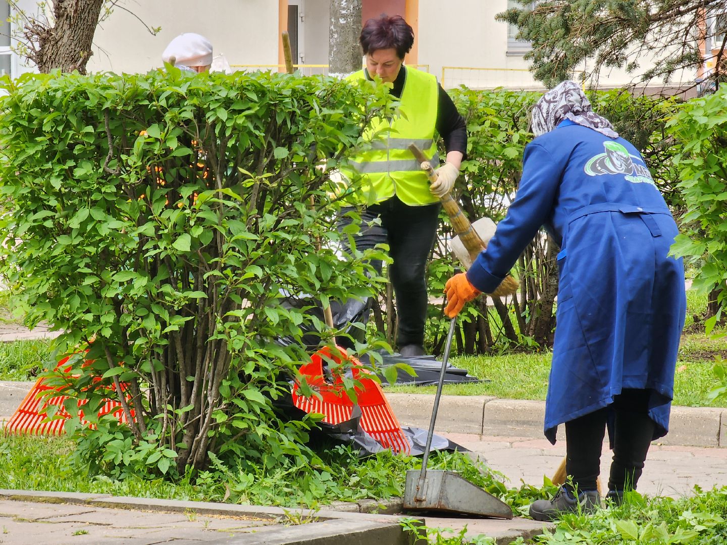 ногинск, благоустройство, площадь победы, жители, общество, коммунальщики, 9 мая,