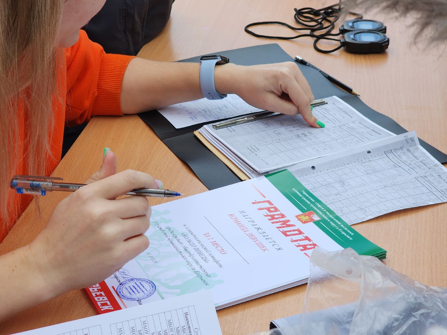 Егорьевск, Подмосковье, Московская область,