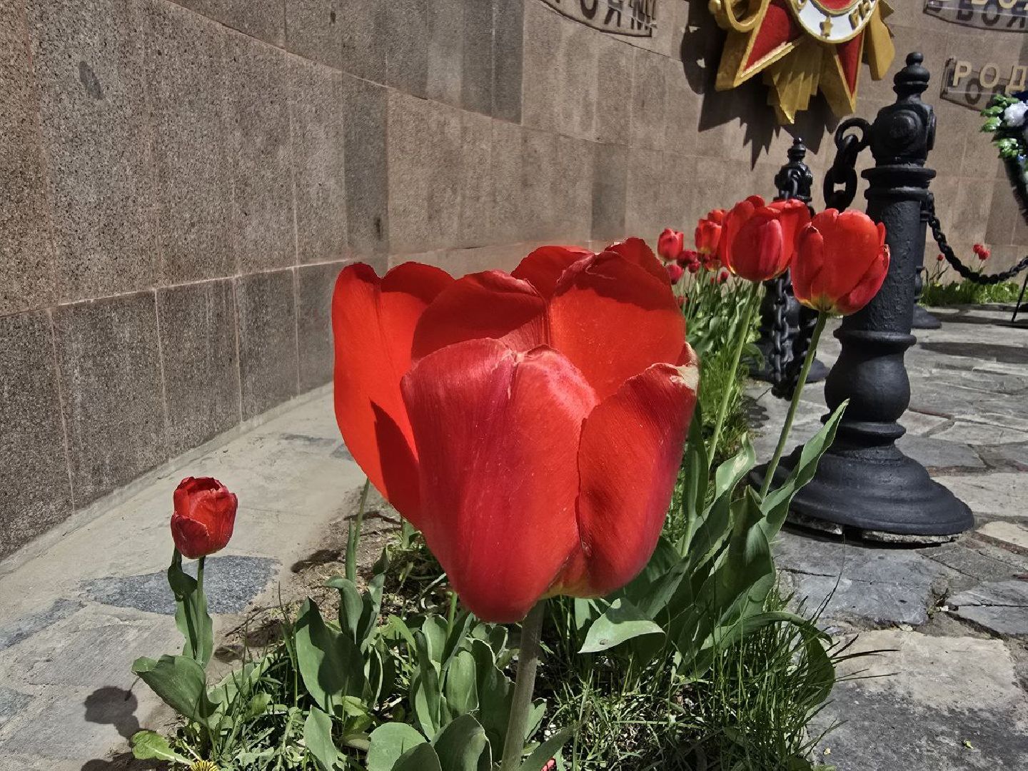 можайск, можайский муниципальный округ, подмосковье, день победы, благоустройство, украсили округ к 9 мая,